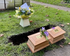 Picture of interment of ashes in graveyard